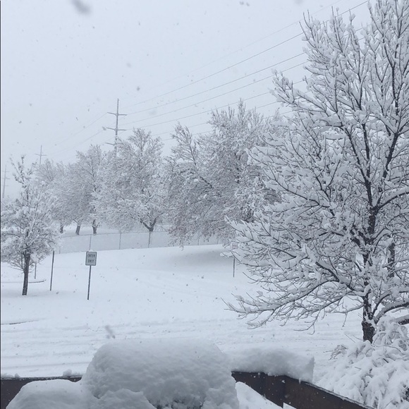 BOGO is for regular priced items only $15-$75 - Picture 7 of 8